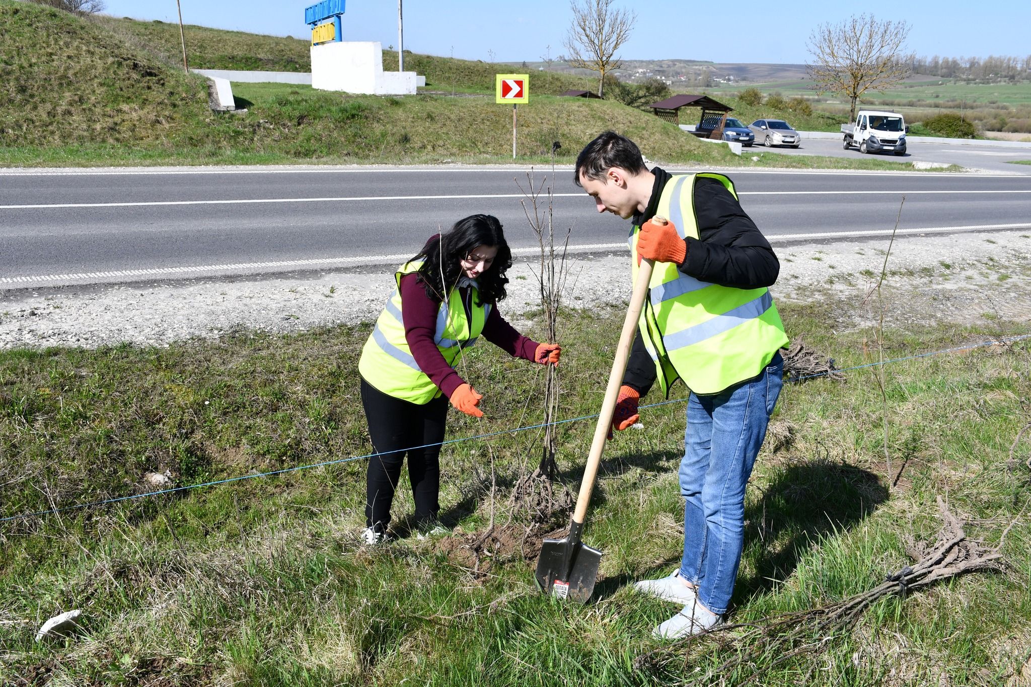 Новини Тернополя - фото з Дороги Тернопільщини захищатимуть 1000 нових дерев