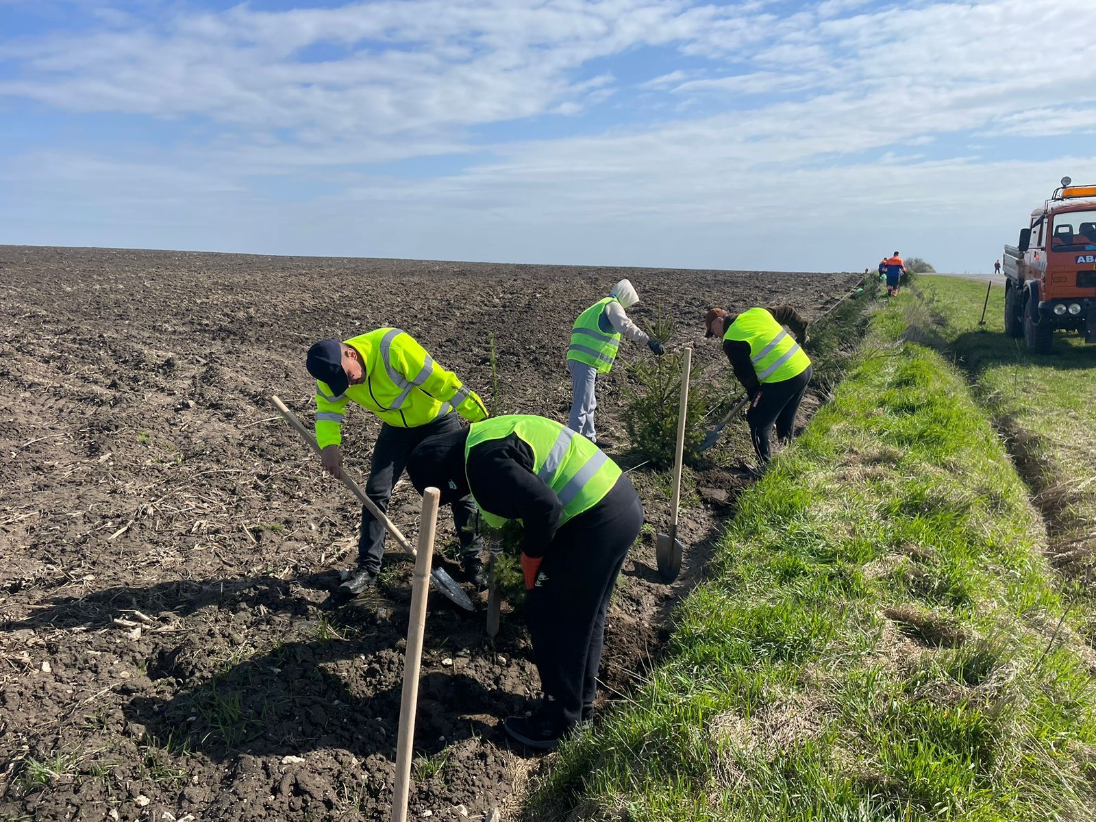Новини Тернополя - фото з Дороги Тернопільщини захищатимуть 1000 нових дерев
