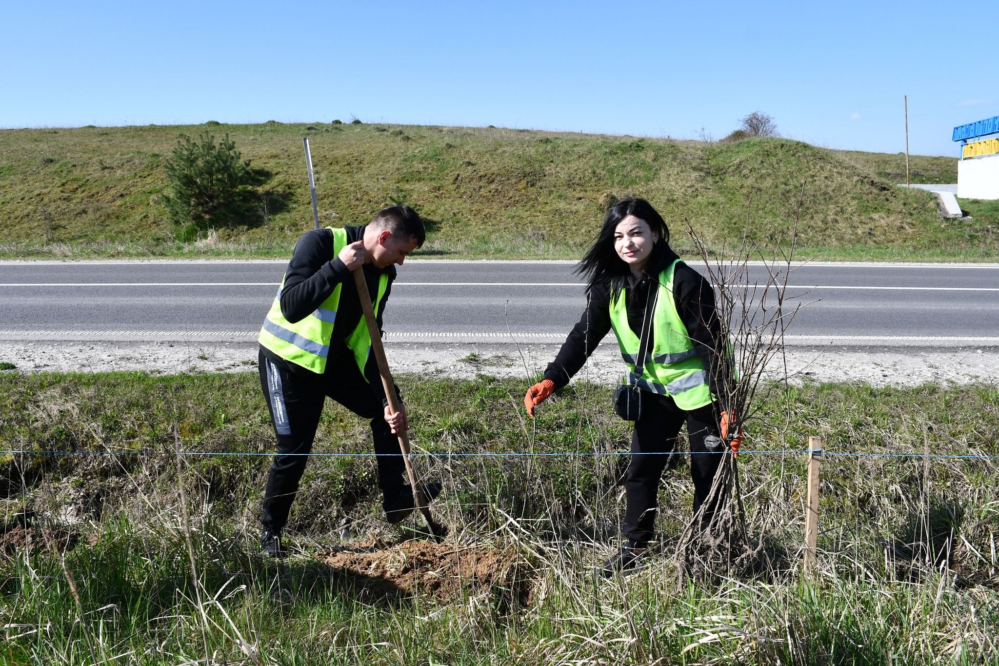 Новини Тернополя - фото з Дороги Тернопільщини захищатимуть 1000 нових дерев