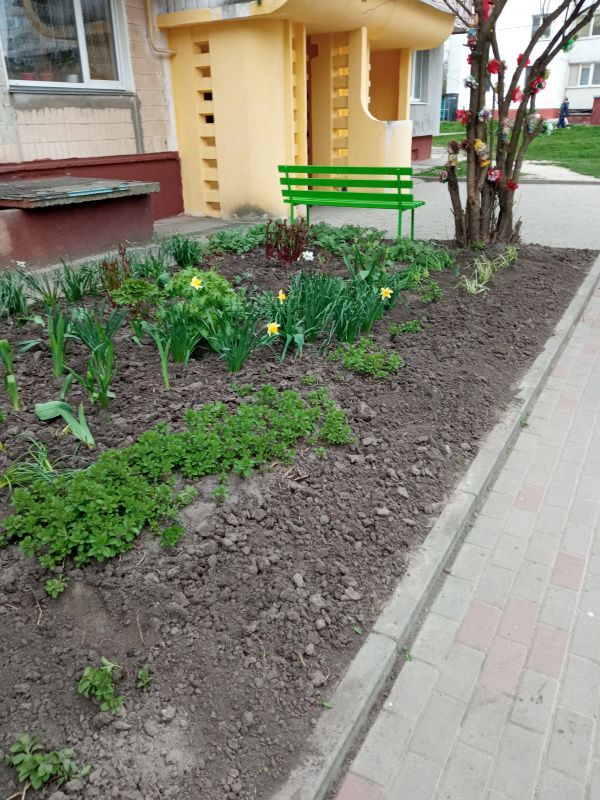 Новини Тернополя - фото з У Тернополі триває весняний благоустрій: що зроблено