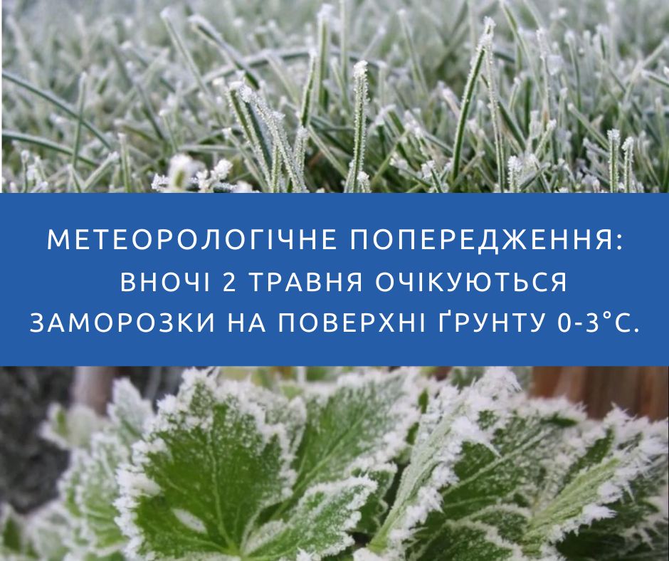 Новини Козятина - фото з Травень розпочинається заморозками. Не омине і Вінниччину — прогноз на найближчі дні