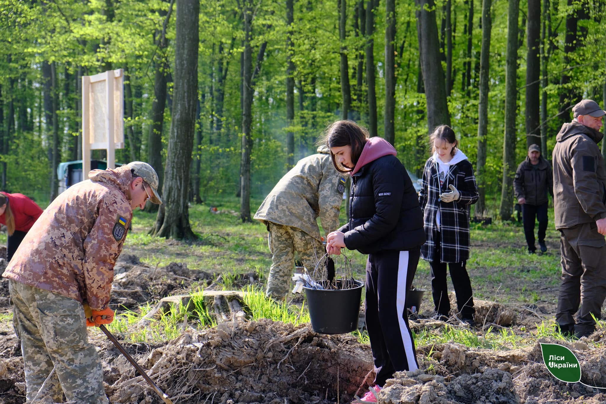 Новини Тернополя - фото з Військові, діти і лісівники Тернопільщини посадили майже 5 тисяч сіянців дуба