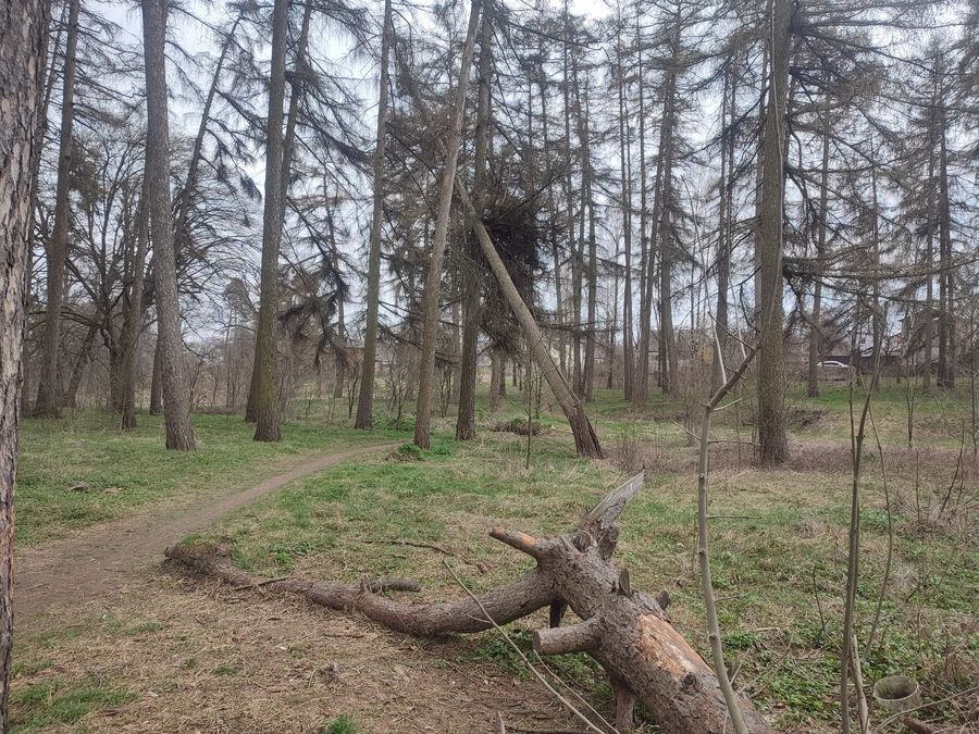 Новини Вінниці - фото з У Вінниці гине П’ятничанський парк, якому понад двісті років: як це коментують нащадки Грохольських
