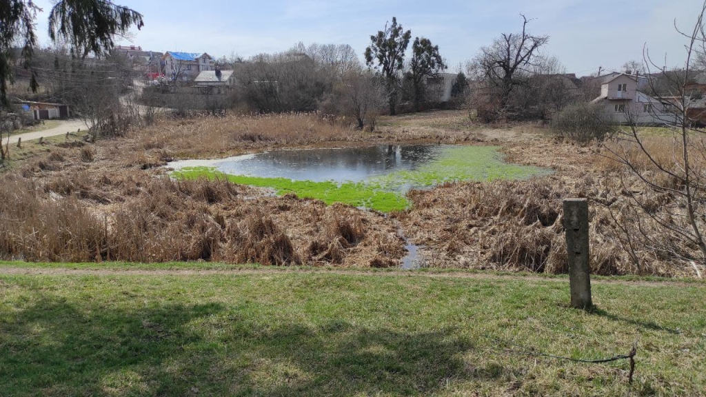 Новини Вінниці - фото з У Вінниці гине П’ятничанський парк, якому понад двісті років: як це коментують нащадки Грохольських