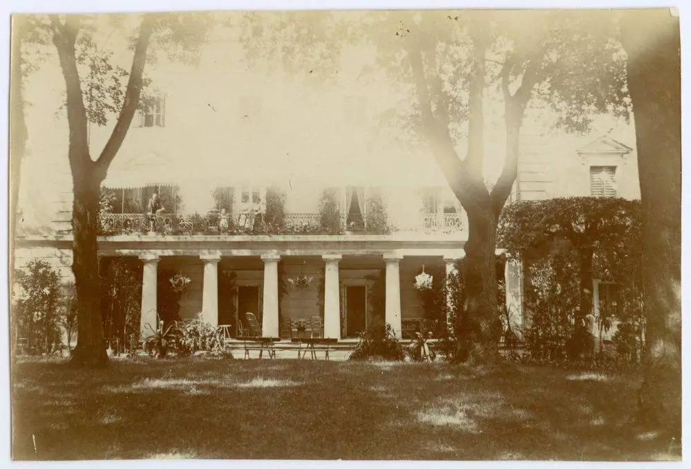 Новини Вінниці - фото з У Вінниці гине П’ятничанський парк, якому понад двісті років: як це коментують нащадки Грохольських