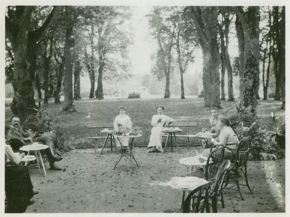 Новини Вінниці - фото з У Вінниці гине П’ятничанський парк, якому понад двісті років: як це коментують нащадки Грохольських