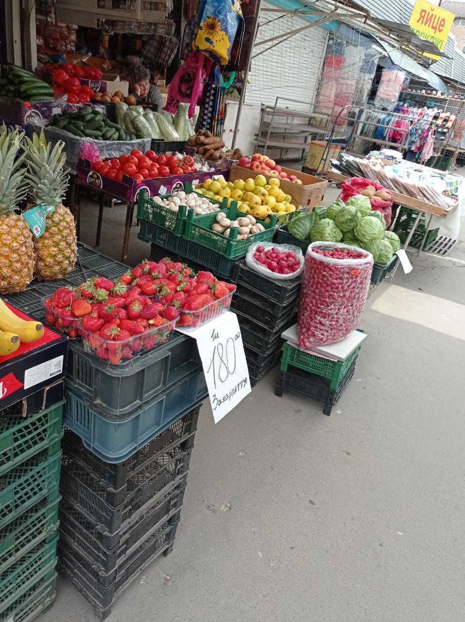 Новини Тернополя - фото з У Тернополі вже продають українську полуницю і молоду картоплю: які ціни