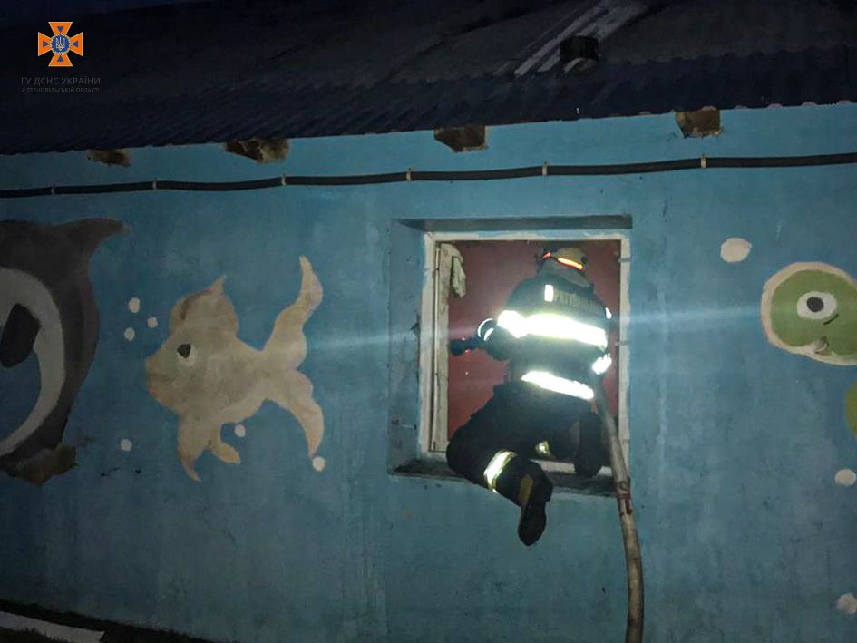 Новини Тернополя - фото з У Залозецькій громаді горіли дерев’яні пелети. Вогонь охопив площу у 400 м²