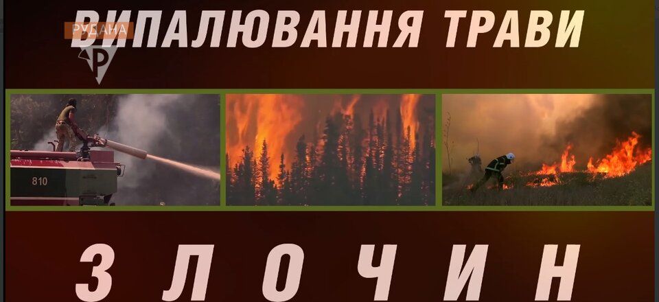 Новини Тернополя - фото з Цілий гектар сухостою і автівка. Де горіло на Тернопільщині 4-го травня?