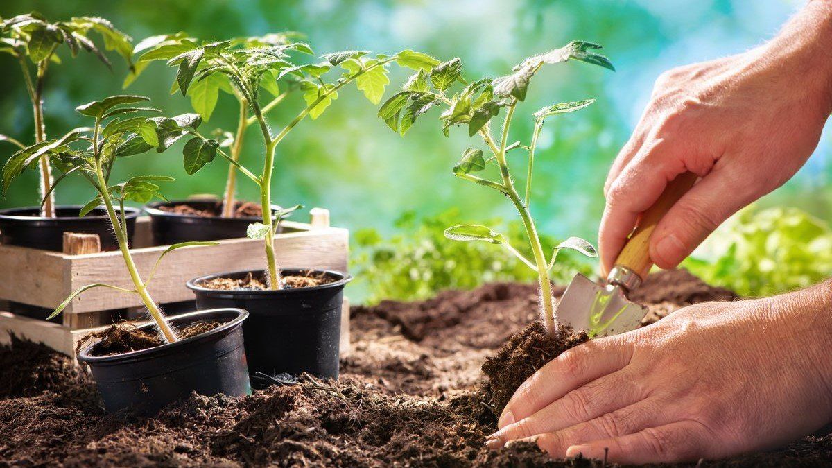 Новини Тернополя - фото з Сьогодні, 6 травня: все про цей день, яке церковне свято, що не можна робити