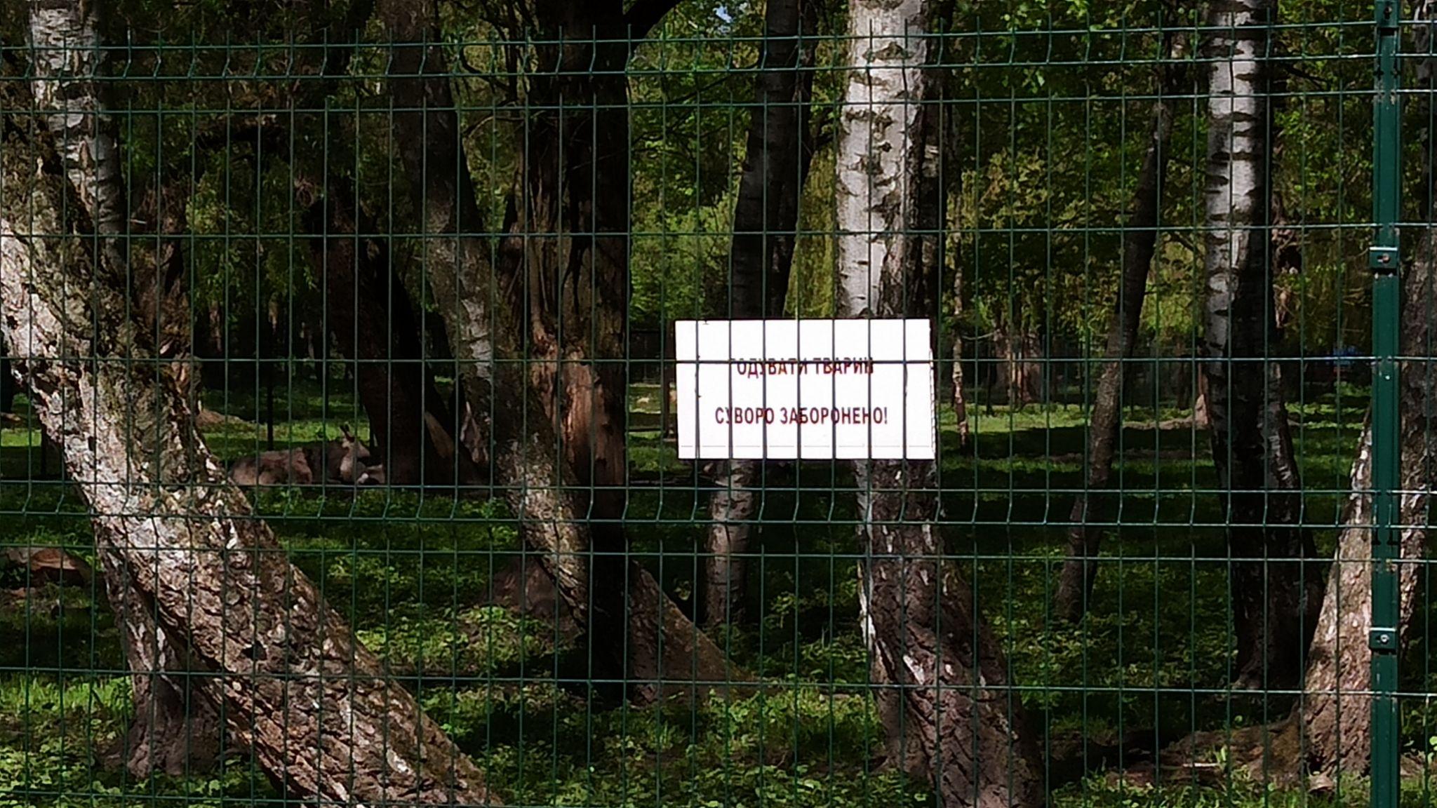 Новини Тернополя - фото з На аукціон виставили тварин із зоокутка у «Сопільче». За одних просять 50 грн, за інших – 16 тисяч