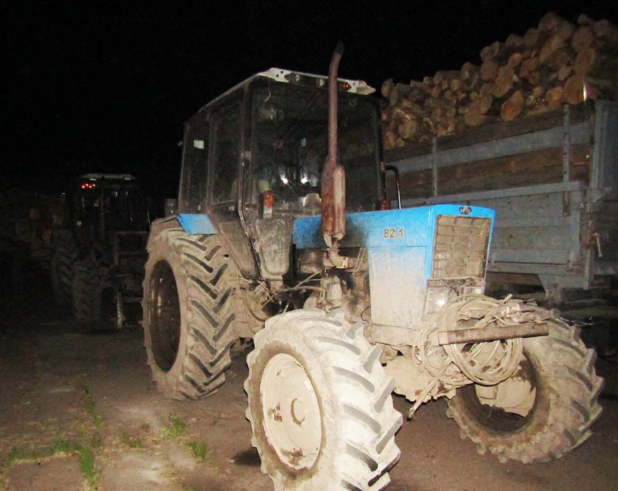 поки одні тримають кордон, інші незаконно вирубують ліс