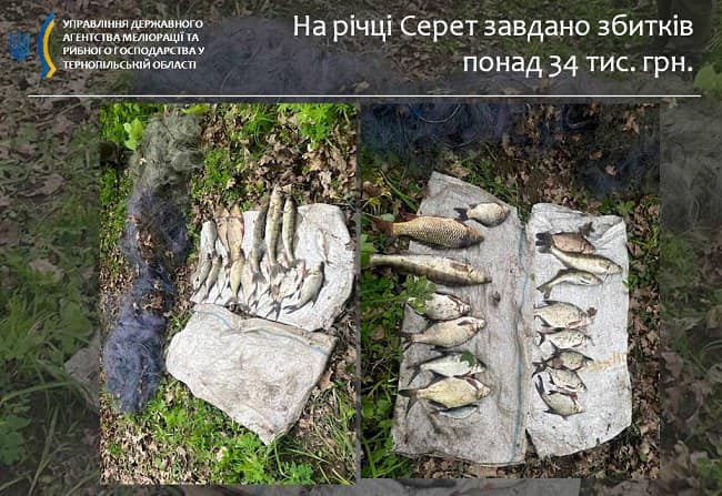 Новини Тернополя - фото з На річці Серет правоохоронці виявили двох браконьєрів з сітками