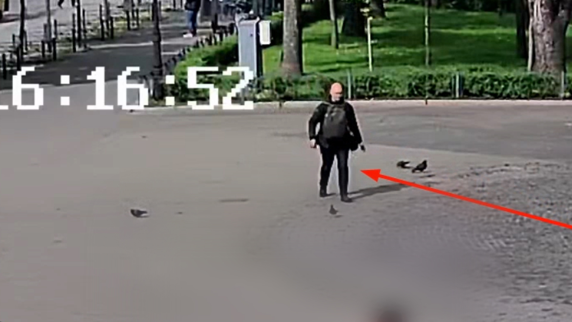 Новини Житомира - фото з У Києві службовий пес Уран допоміг поліцейським знайти житомирянина, підозрюваного у вбивстві товариша у києві службовий пес уран вивів поліцейських на слід підозрюваного у вбивстві