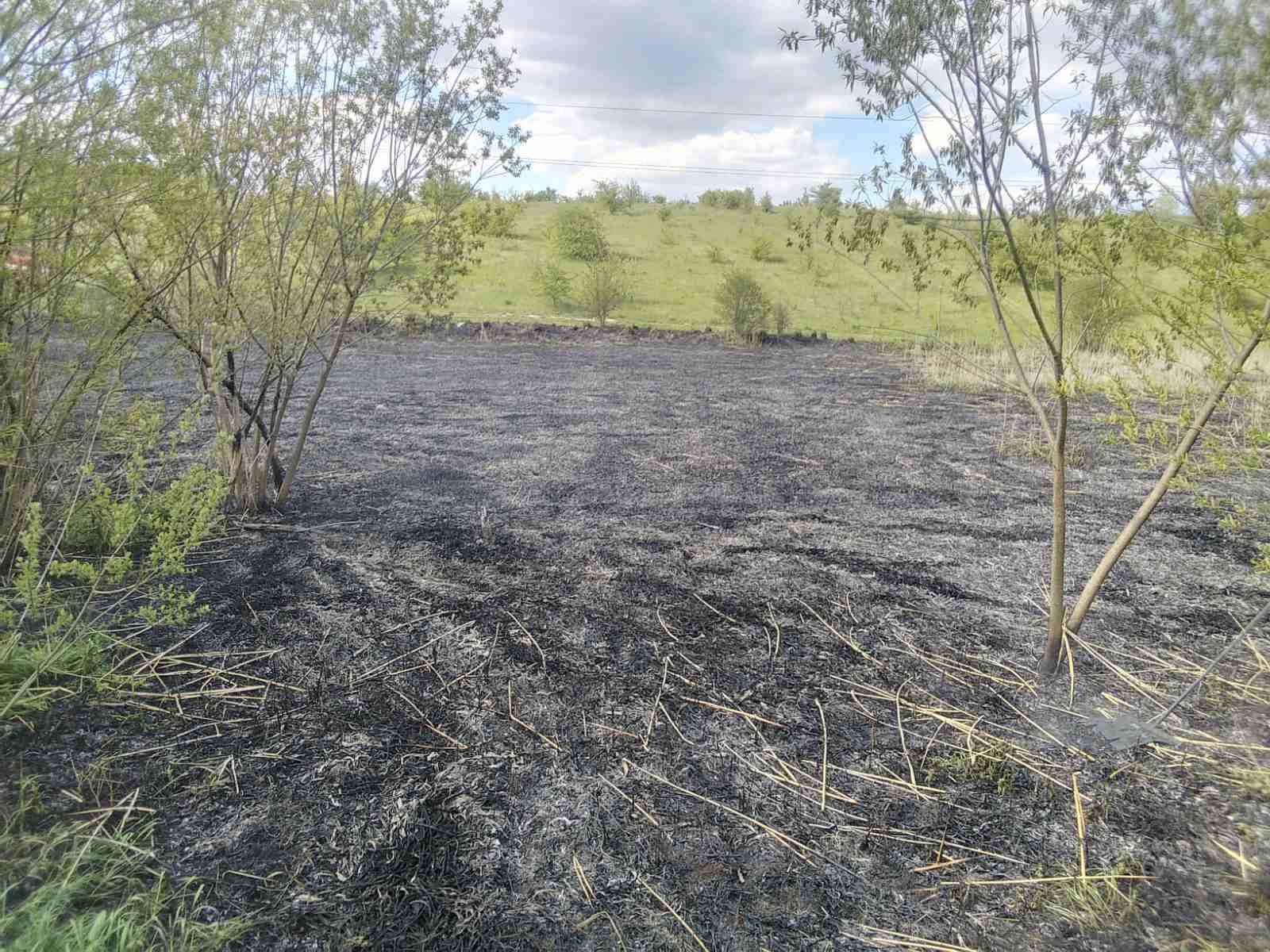 Новини Тернополя - фото з Велика пожежа у Байківцях: горів очерет, трава і дерева