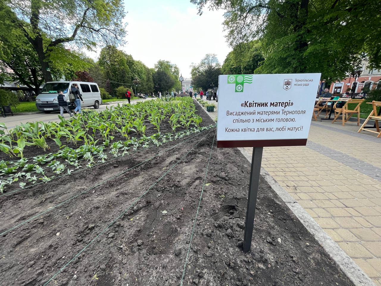 Новини Тернополя - фото з У пам'ять про наших мужніх діток. Матері загиблих Героїв висадили квіти у центрі Тернополя