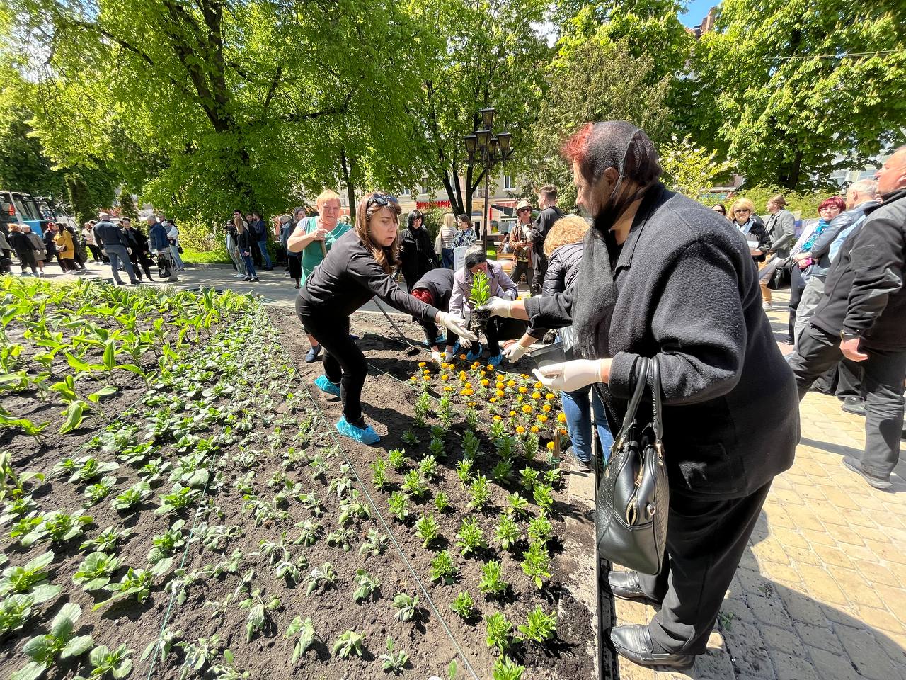 Новини Тернополя - фото з У пам'ять про наших мужніх діток. Матері загиблих Героїв висадили квіти у центрі Тернополя