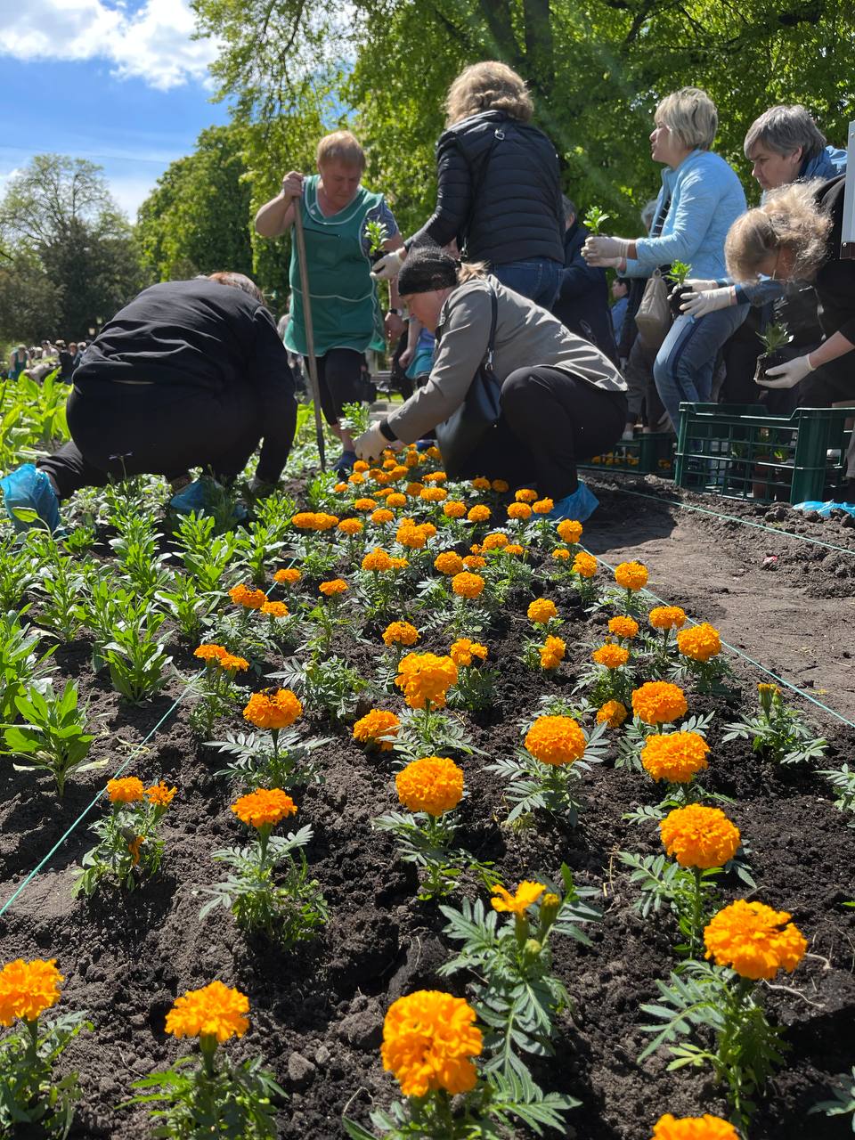 Новини Тернополя - фото з У пам'ять про наших мужніх діток. Матері загиблих Героїв висадили квіти у центрі Тернополя
