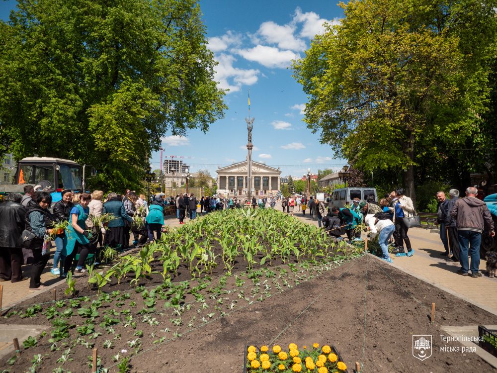 Новини Тернополя - фото з В центрі Тернополя оновили «Квітник матері»