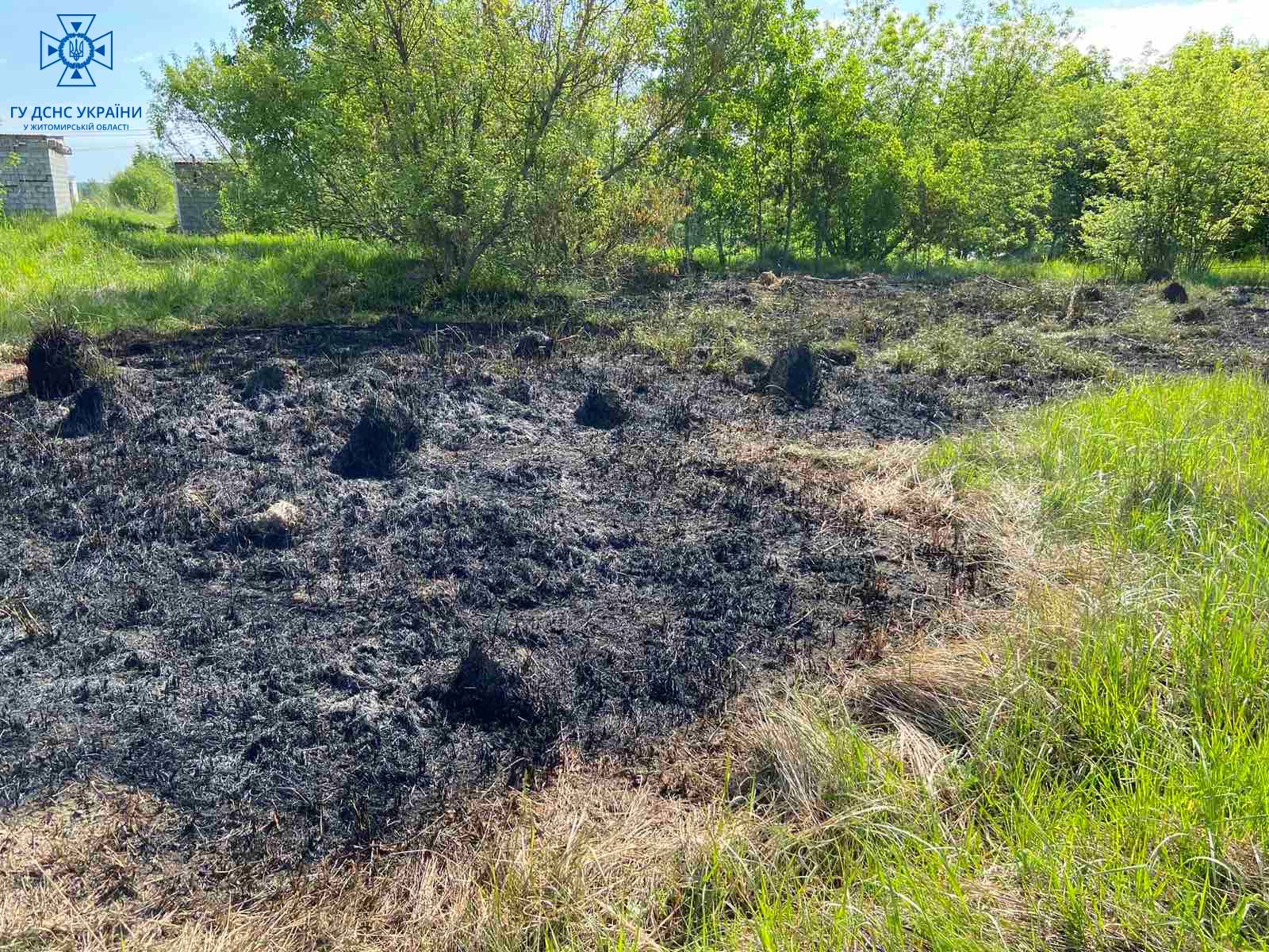 Новини Житомира - фото з 10 пожеж минулої доби гасили на Житомирщині