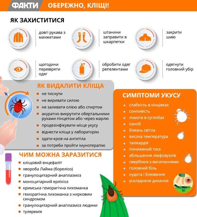 Новини Тернополя - фото з У парках Тернополя кропитимуть кліщив (графік). Як вберегтися від шкідників?