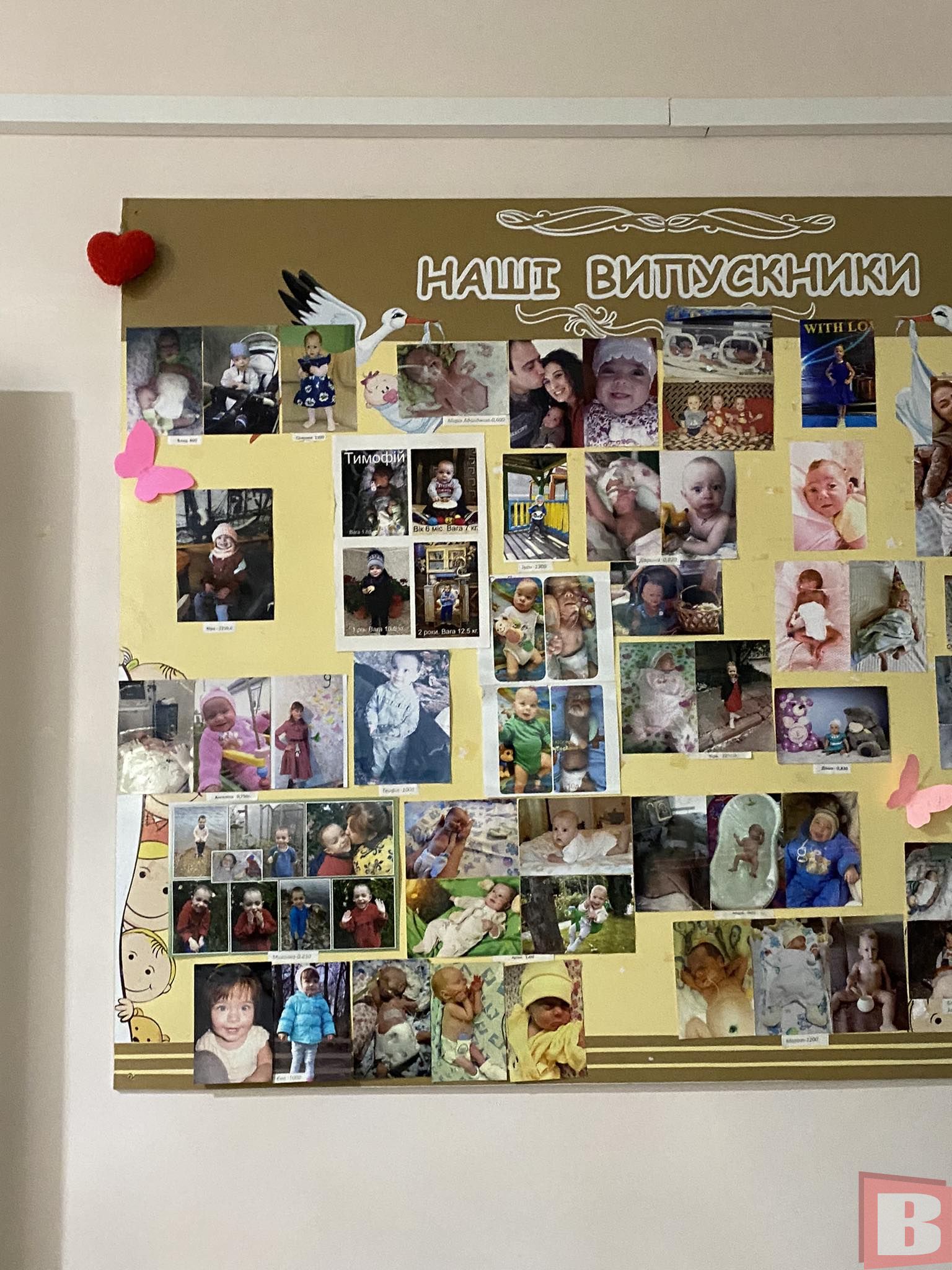 Новини Хмельницького - фото з Перші години життя провели в укритті. Як у День вишиванки вітали новонароджених у Хмельницькому