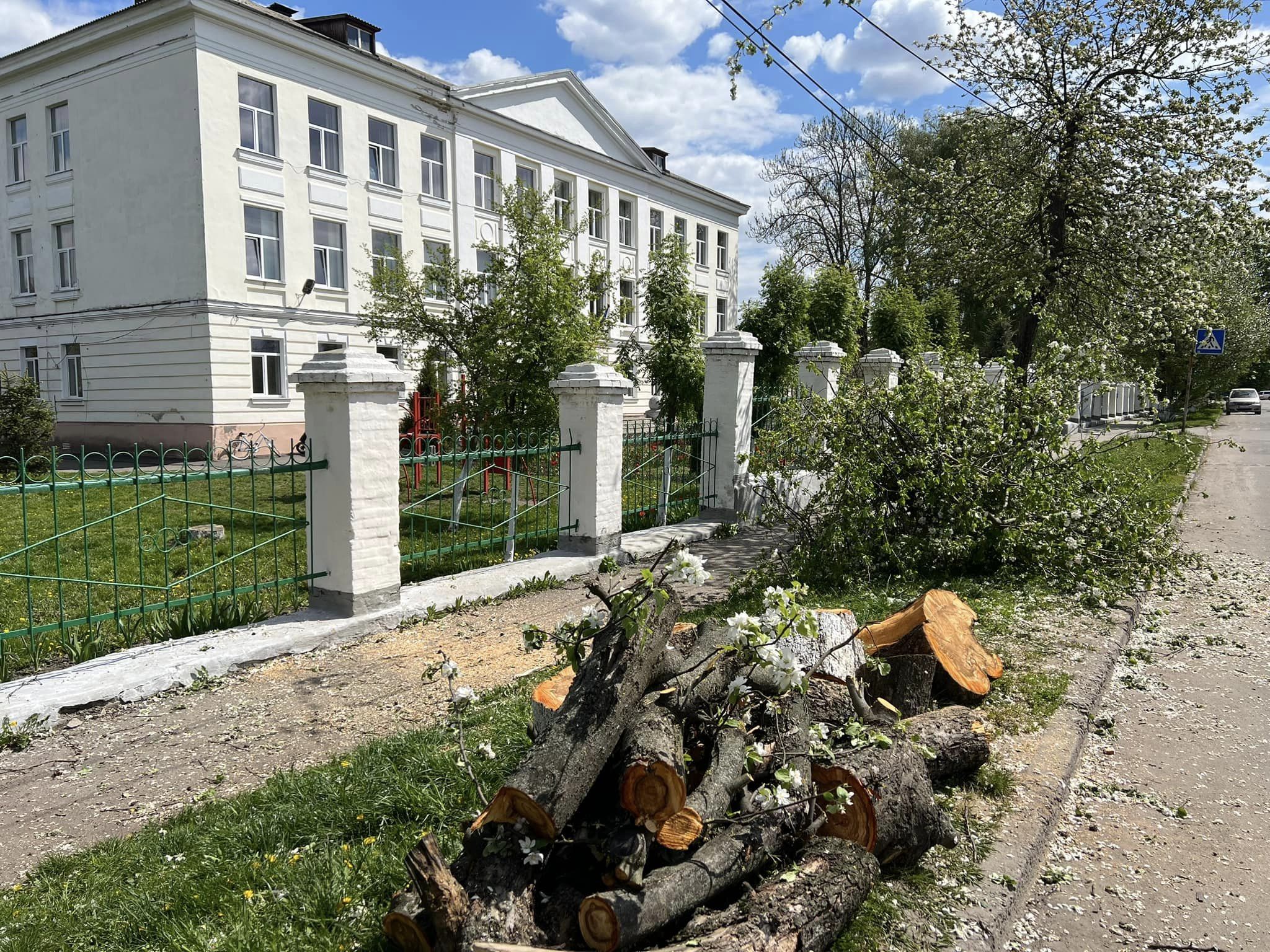 Новини Козятина - фото з Добралися варвари до дерев із цвітом