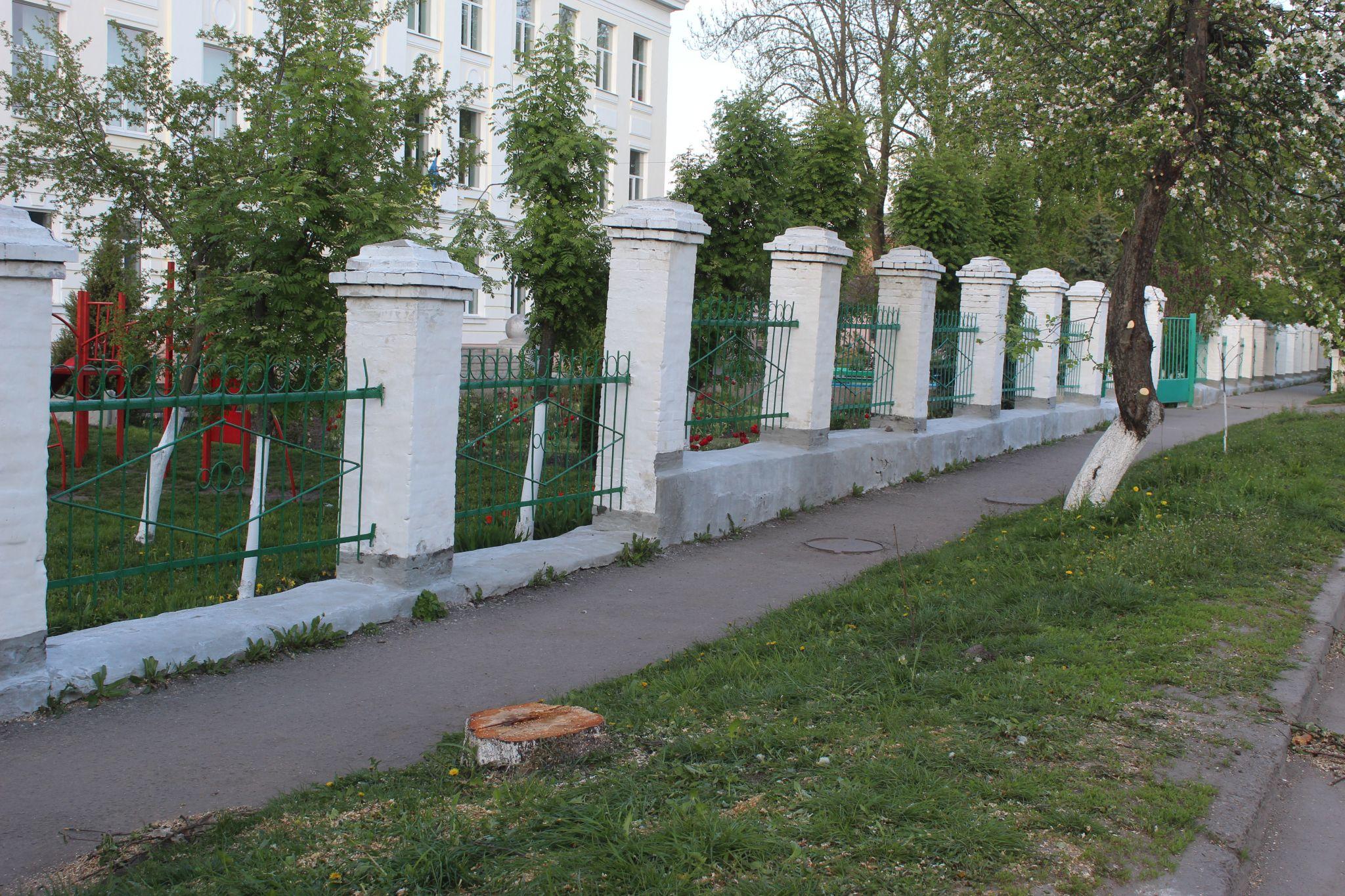 Новини Козятина - фото з Добралися варвари до дерев із цвітом