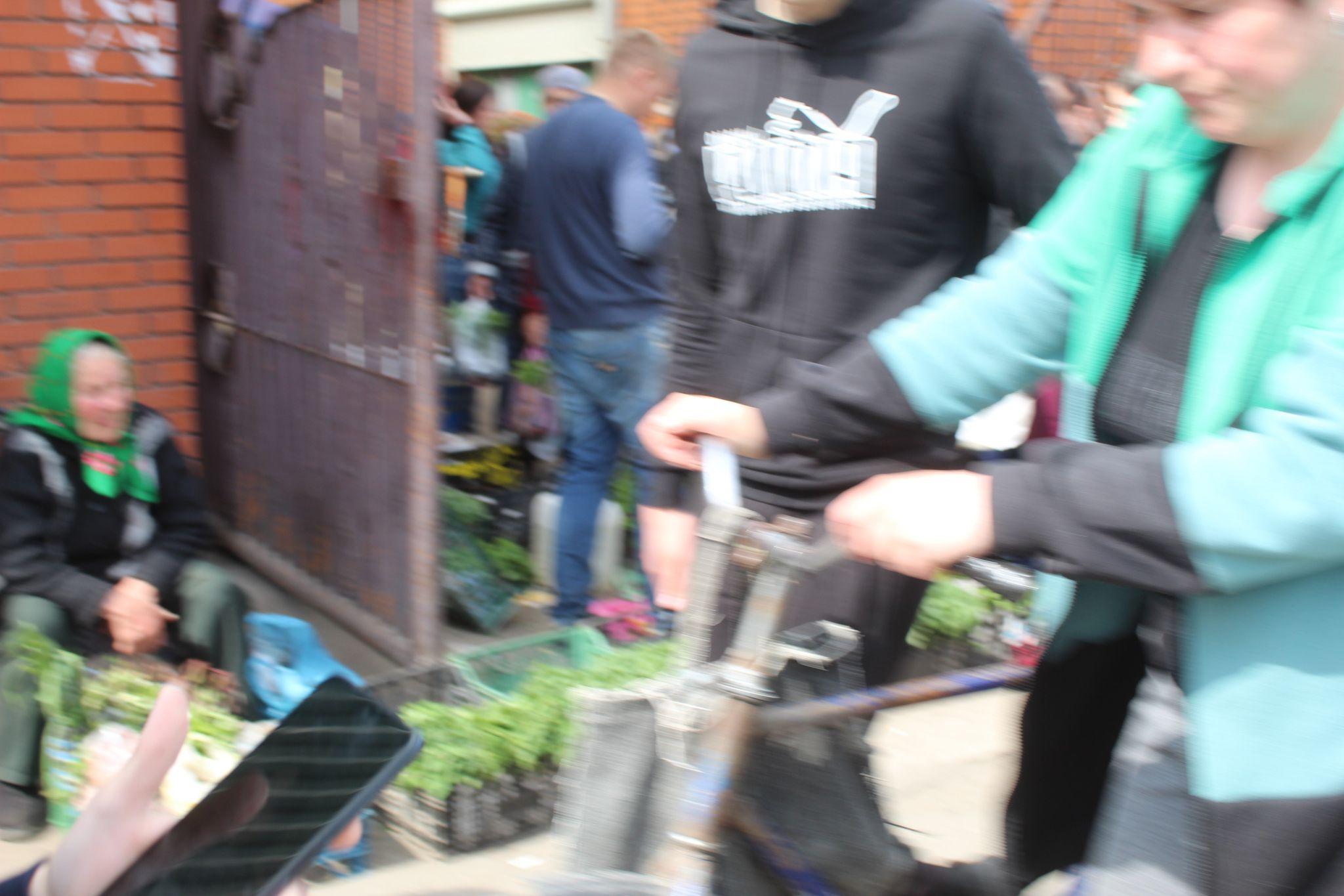 Новини Козятина - фото з Ринок на вулиці Василя Земляка нагадував вулик, в центрі уваги була розсада