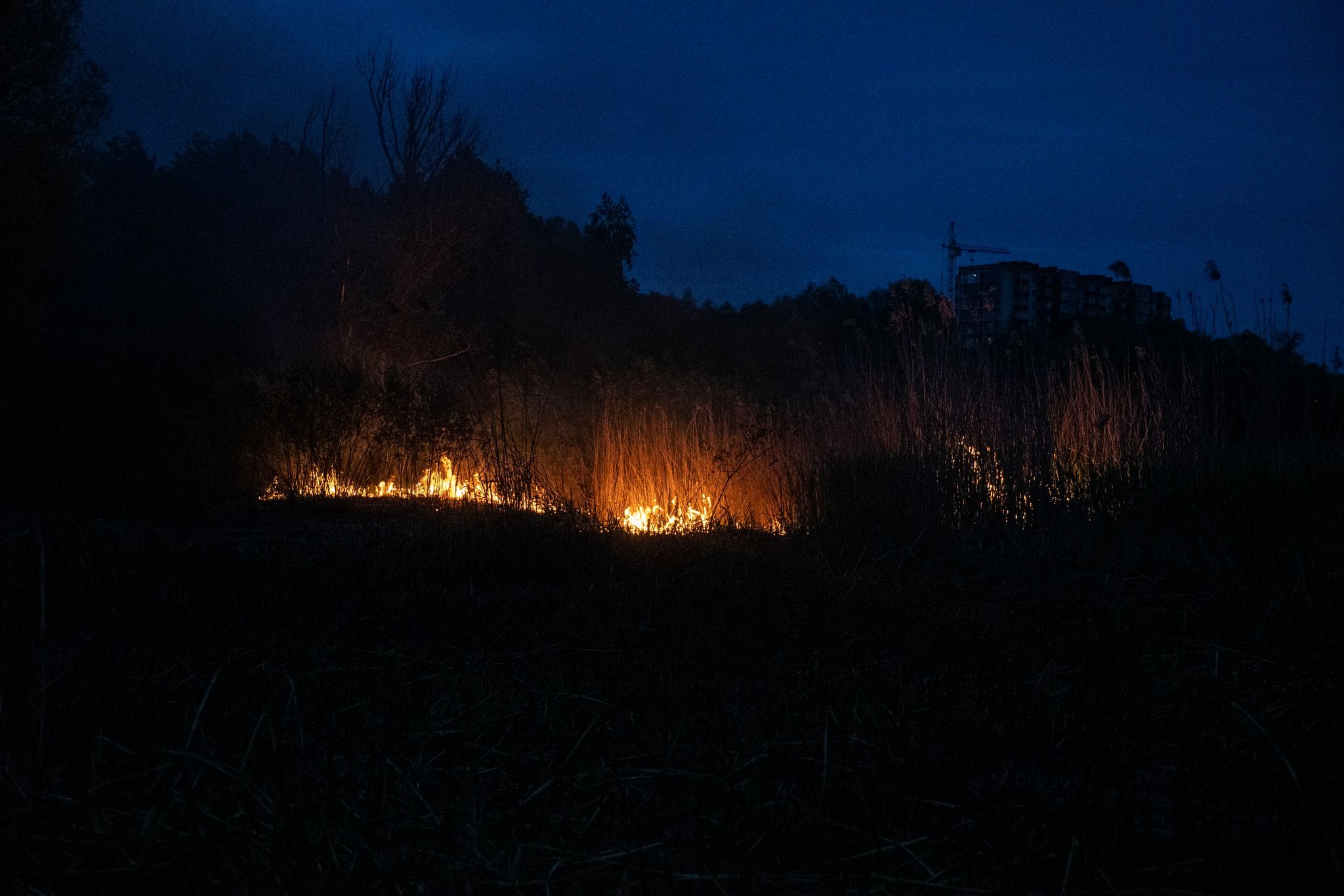 Новини Хмельницького - фото з На Озерній горів очерет, на Соборній – квартира в п'ятиповерхівці  (ВІДЕО, ФОТО)