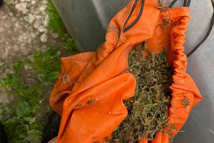 Новини Тернополя - фото з Наркотики, зброю, боєприпаси та вибухові речовини вилучили у групи злочинців на Чортківщині