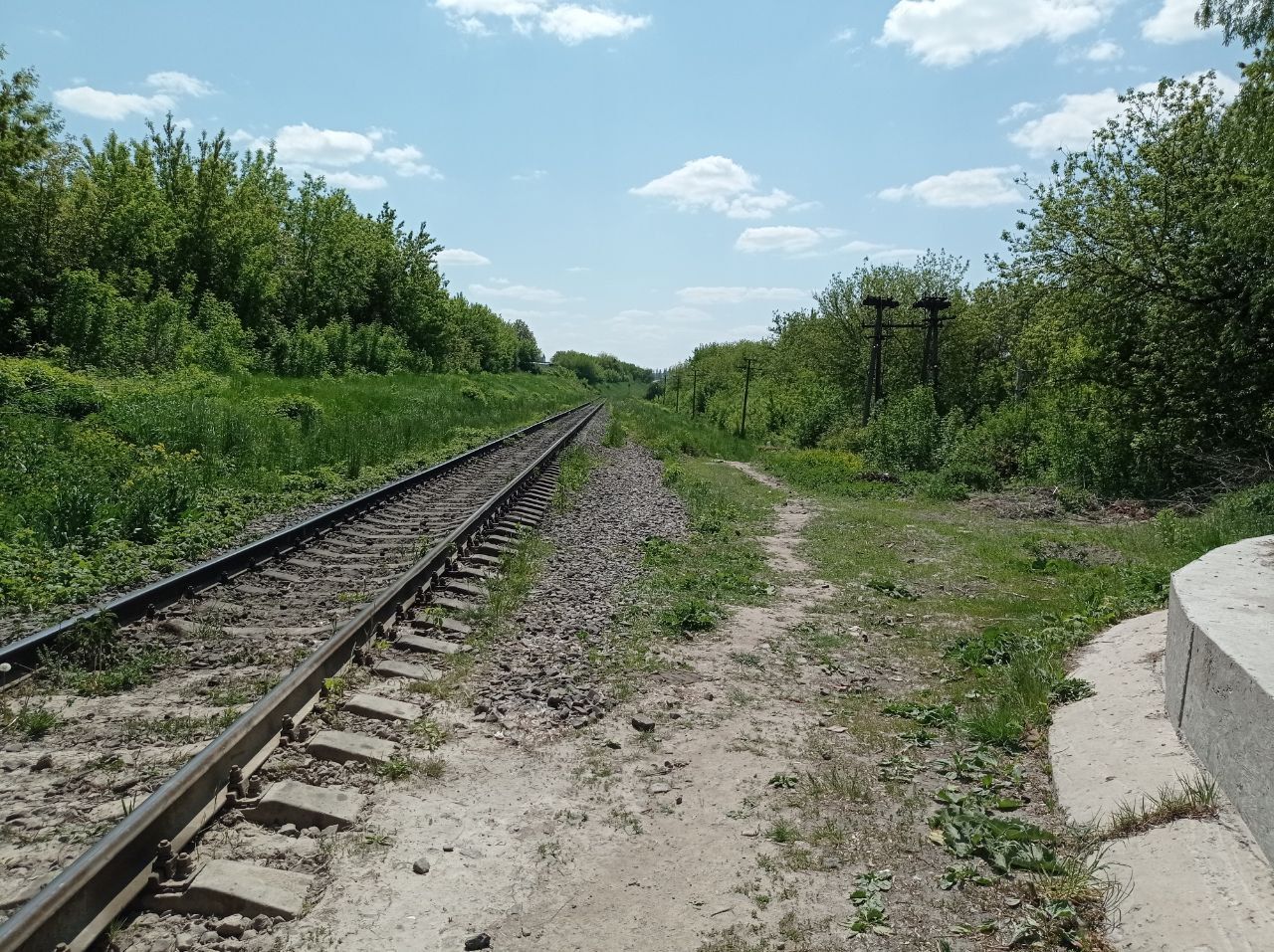 Новини Тернополя - фото з Мальовничий краєвид та прозора вода: як виглядає «Тернопільський Таїланд» та як до нього дістатися