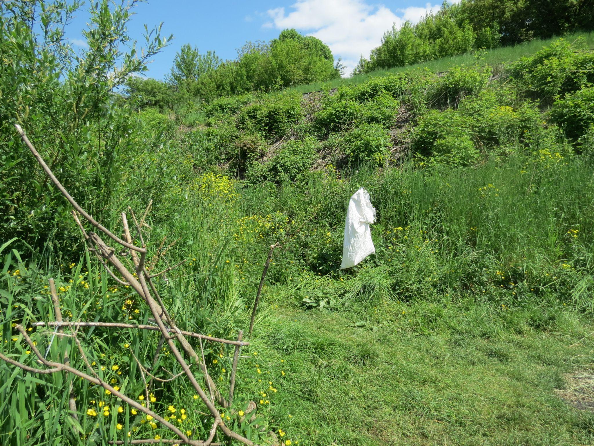 Новини Тернополя - фото з Мальовничий краєвид та прозора вода: як виглядає «Тернопільський Таїланд» та як до нього дістатися