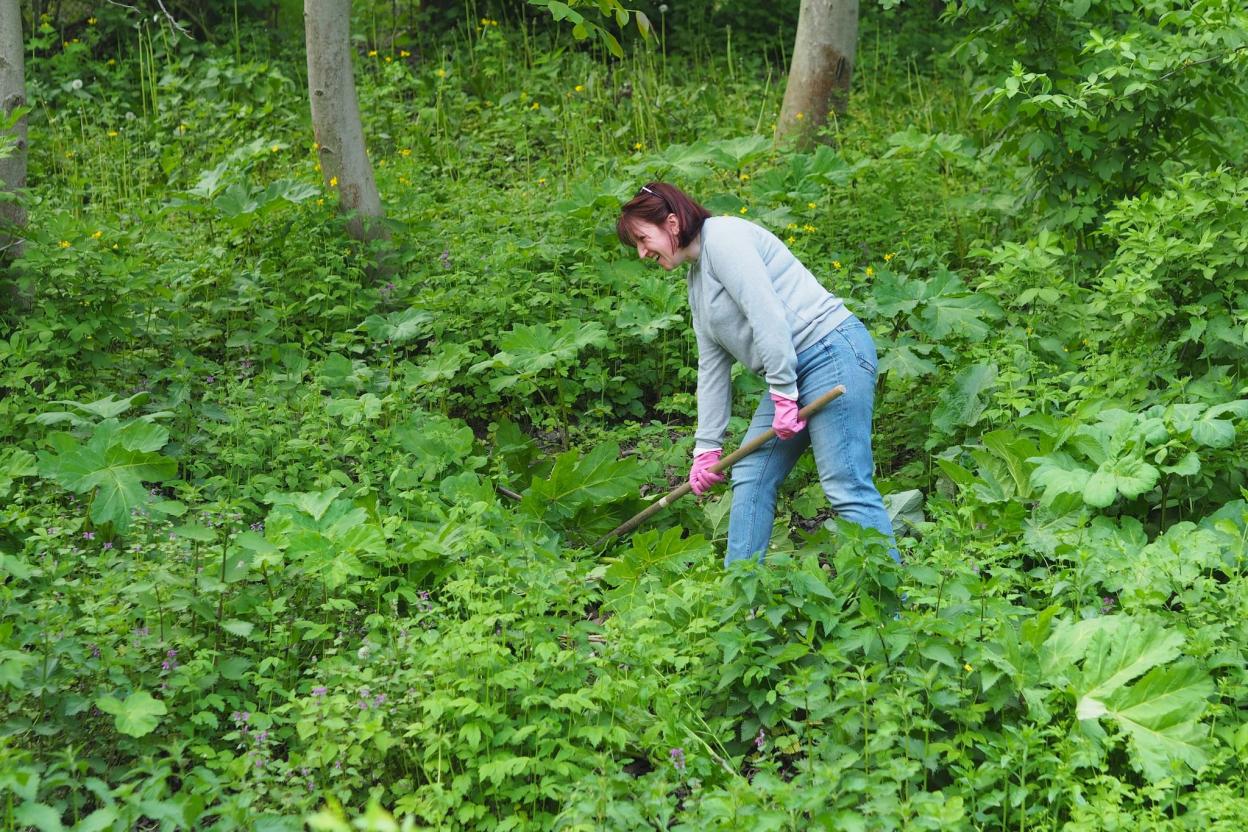 Новини Вінниці - фото з Вінничани почистили від борщівника береги малої річки
