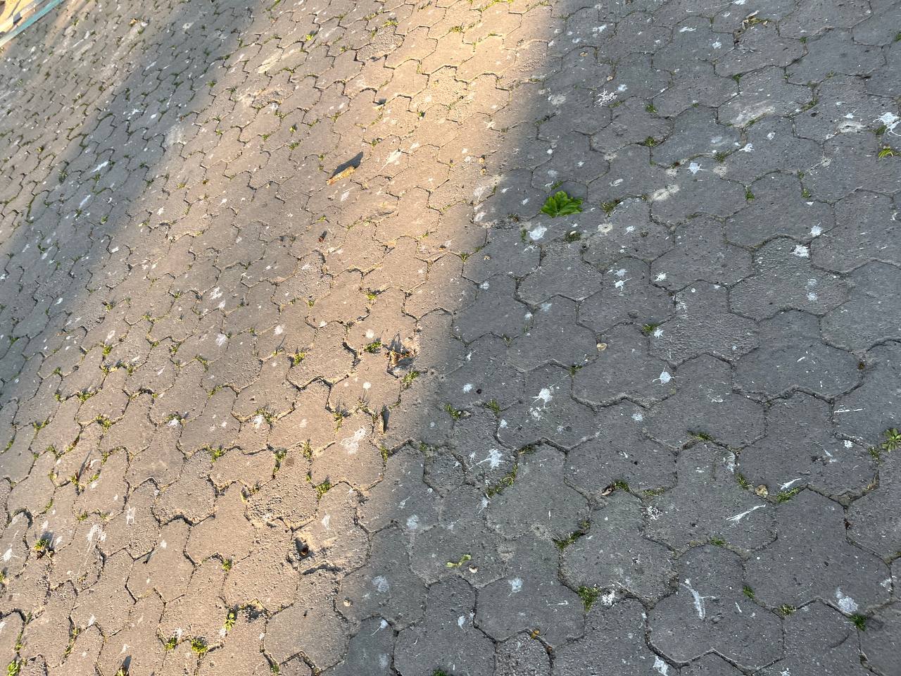 Новини Тернополя - фото з Лавки у фекаліях, полущені тротуари та розбиті ліхтарі: як виглядає Старий парк у Тернополі