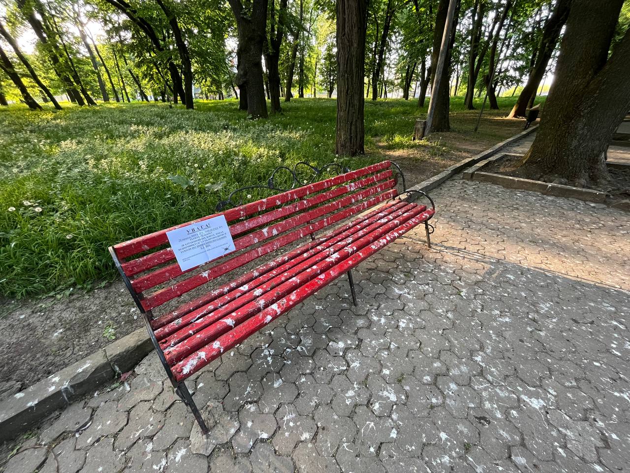 Новини Тернополя - фото з Лавки у фекаліях, полущені тротуари та розбиті ліхтарі: як виглядає Старий парк у Тернополі