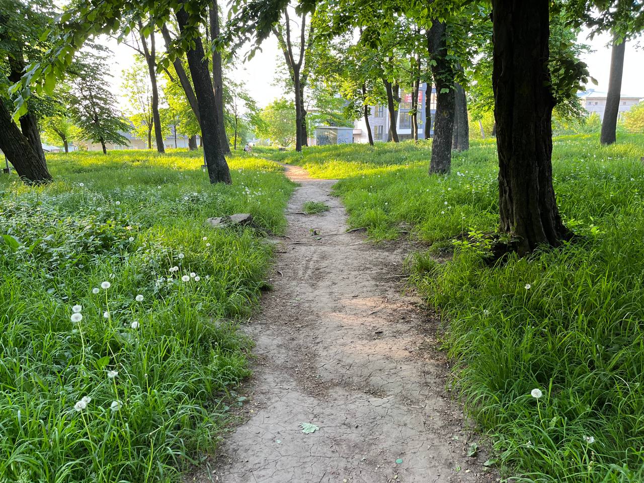Новини Тернополя - фото з Лавки у фекаліях, полущені тротуари та розбиті ліхтарі: як виглядає Старий парк у Тернополі