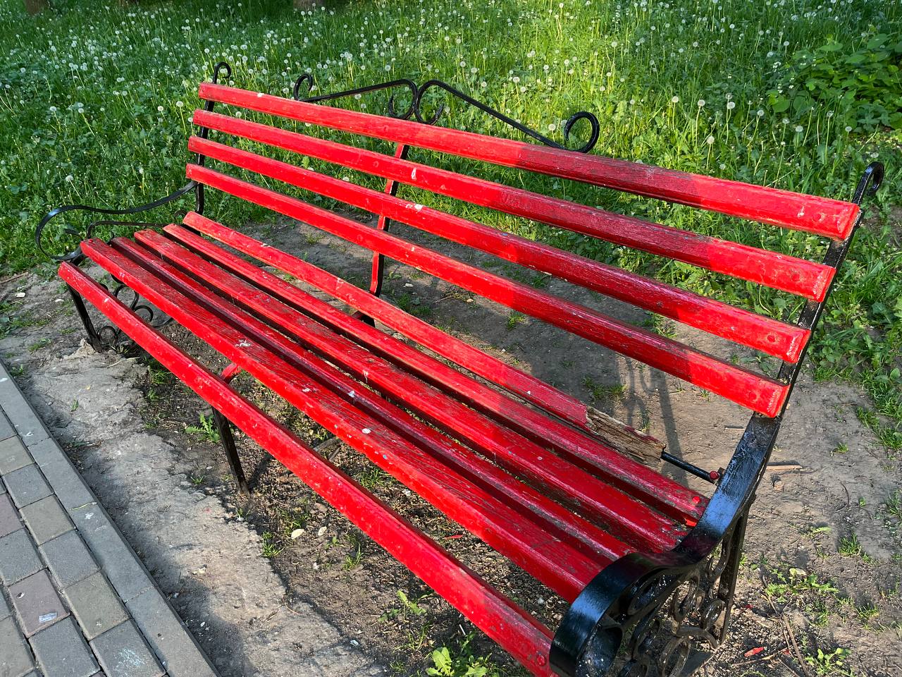 Новини Тернополя - фото з Лавки у фекаліях, полущені тротуари та розбиті ліхтарі: як виглядає Старий парк у Тернополі