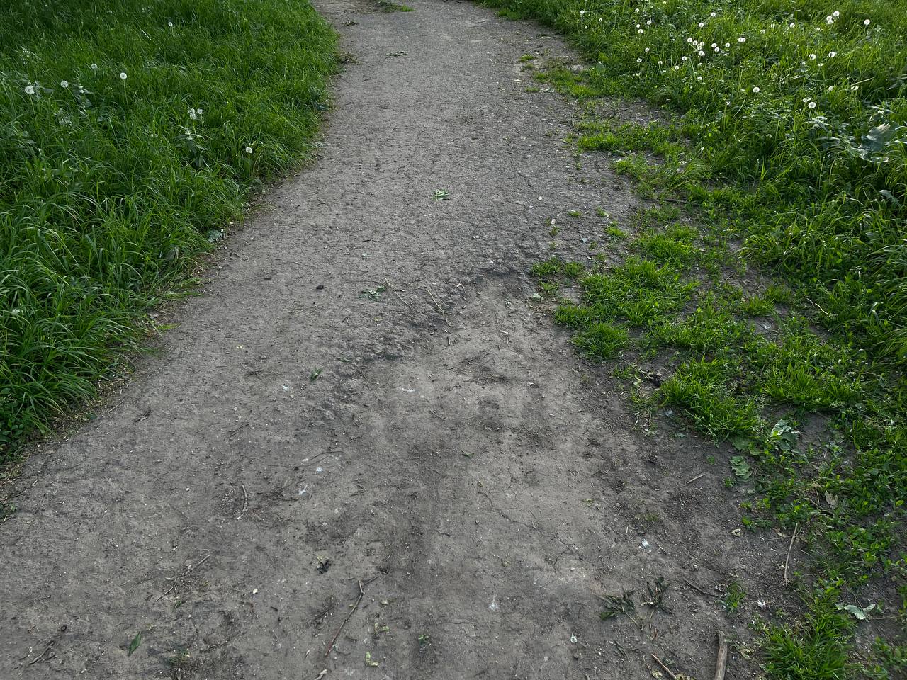 Новини Тернополя - фото з Лавки у фекаліях, полущені тротуари та розбиті ліхтарі: як виглядає Старий парк у Тернополі