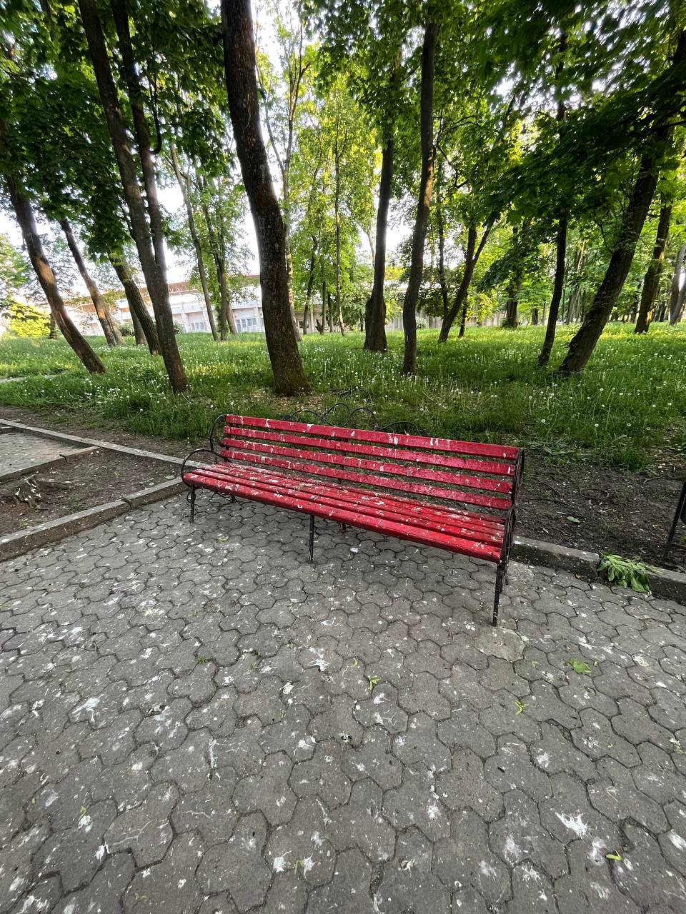 Новини Тернополя - фото з Лавки у фекаліях, полущені тротуари та розбиті ліхтарі: як виглядає Старий парк у Тернополі