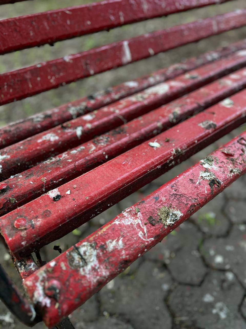 Новини Тернополя - фото з Лавки у фекаліях, полущені тротуари та розбиті ліхтарі: як виглядає Старий парк у Тернополі