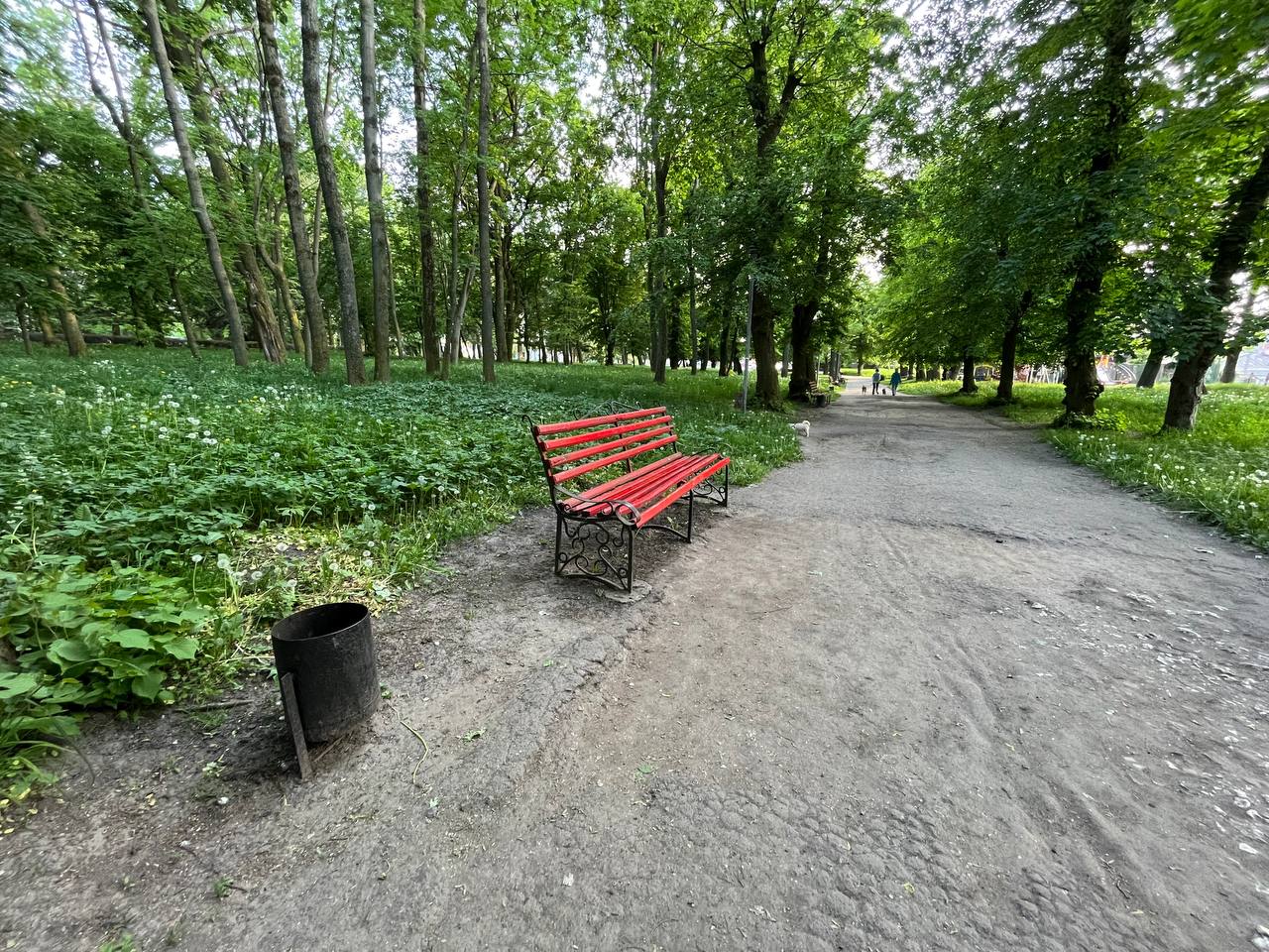 Новини Тернополя - фото з Лавки у фекаліях, полущені тротуари та розбиті ліхтарі: як виглядає Старий парк у Тернополі