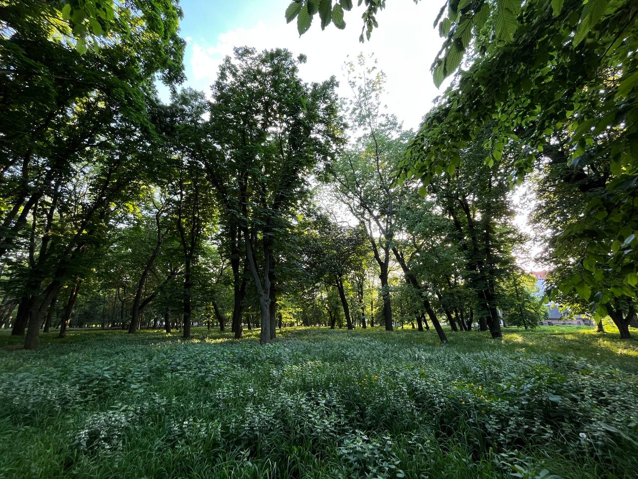 Новини Тернополя - фото з Лавки у фекаліях, полущені тротуари та розбиті ліхтарі: як виглядає Старий парк у Тернополі