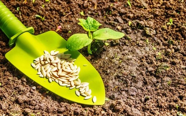 Новини Тернополя - фото з Сьогодні, 27 травня: все про цей день, яке церковне свято, що не можна робити