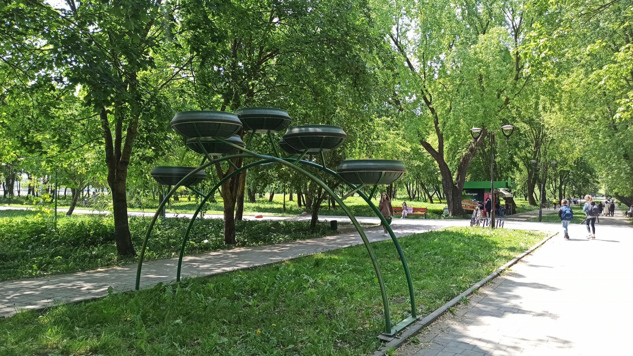 Новини Тернополя - фото з У вертикальному озеленні Сопільче замість квітів – бур’яни: фото дня