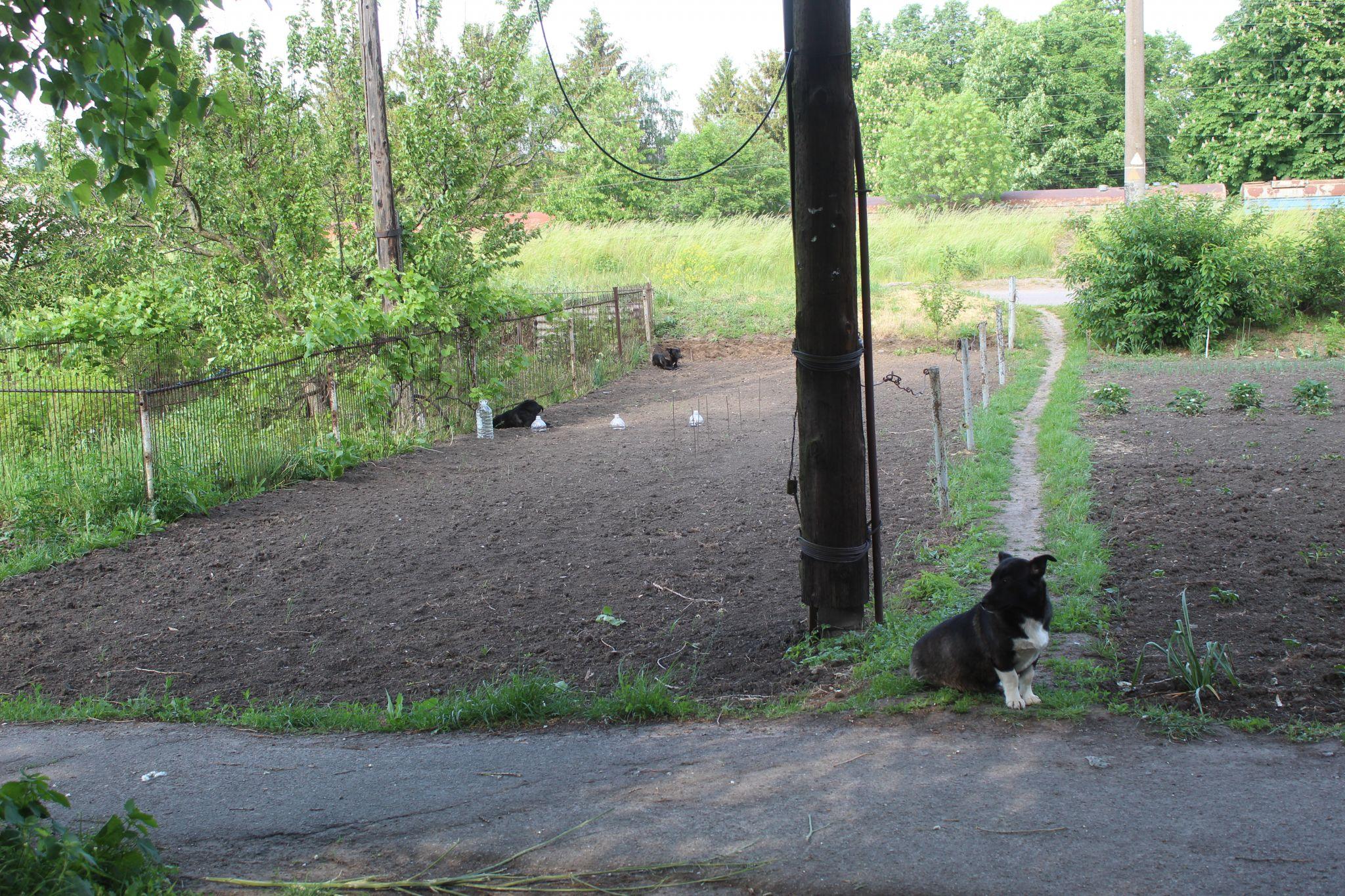 Новини Козятина - фото з Добрі та сумні будні містечка Залізничне