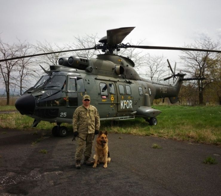 Новини Хмельницького - фото з Пес по кличці «Алтай». Історія чотирилапого з Кам’янеччини, який побував у миротворчих місіях