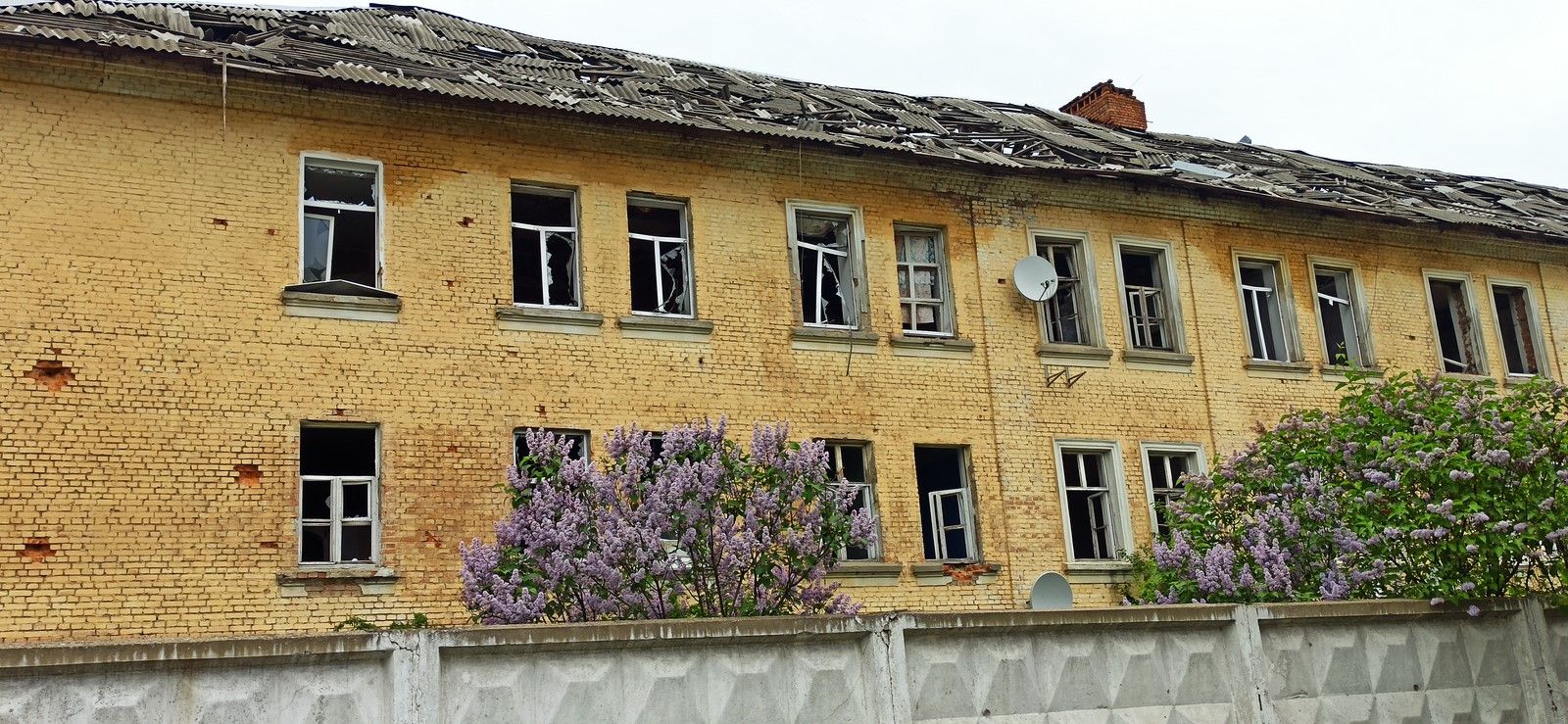 Новини Житомира - фото з Як відновлюють на Житомирщині зруйноване окупантами житло та будівлі