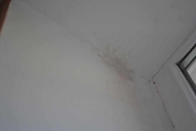 Новини Хмельницького - фото з “Наші діти дихають пліснявою”. Батьки просять звільнити директорку хмельницького садочка