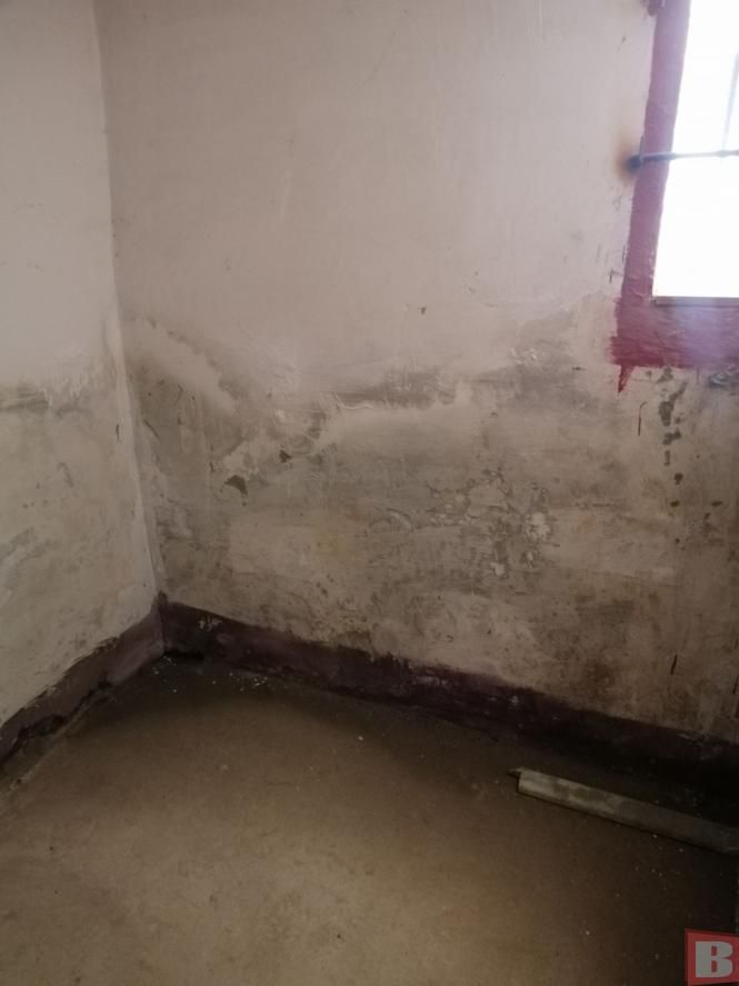 Новини Хмельницького - фото з “Наші діти дихають пліснявою”. Батьки просять звільнити директорку хмельницького садочка